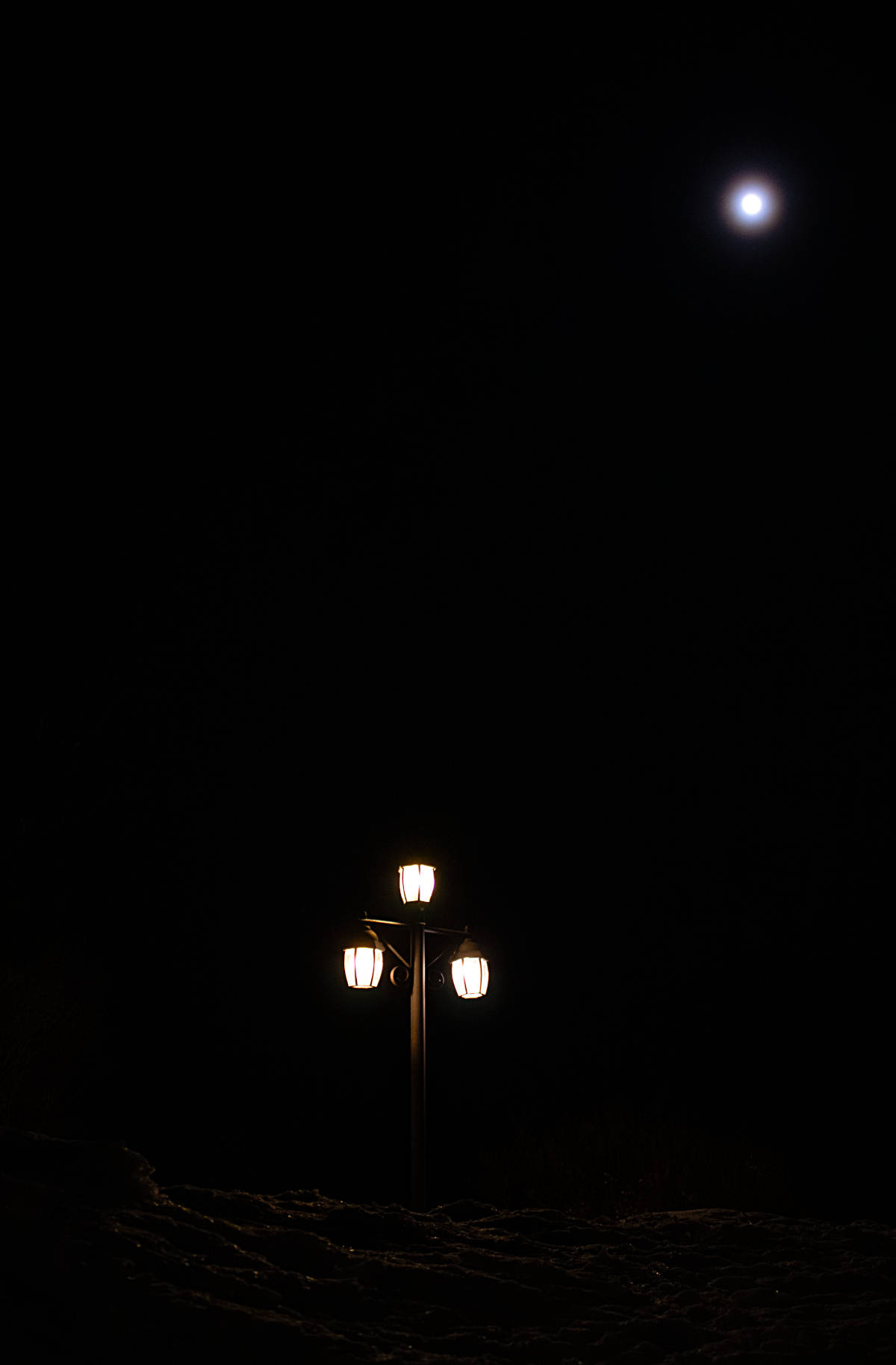 An image of a low light composition