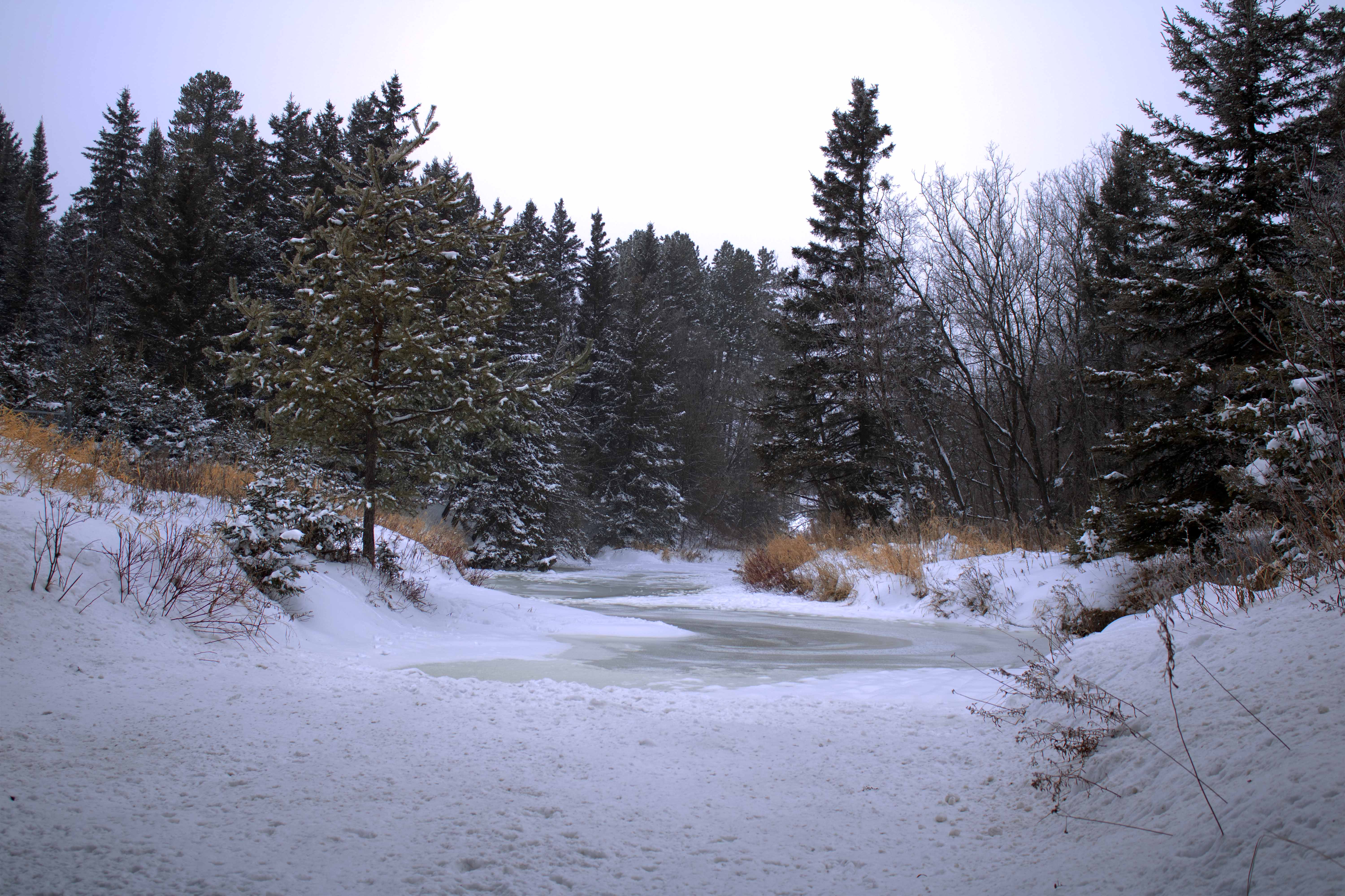 An image of an icy river